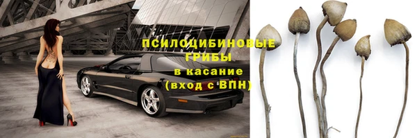 стаф Алексин
