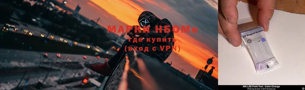 молекула духа Алзамай