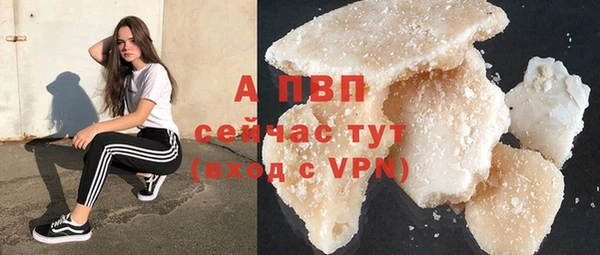 стаф Алексин