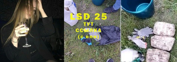 стаф Алексин
