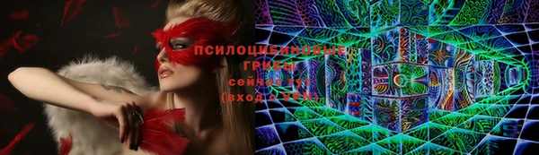 a pvp Алексеевка