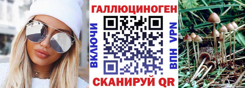 Галлюциногенные грибы Cubensis  купить  сайты  ссылка на мегу сайт  Усть-Кут 